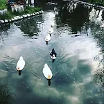 Nocleg ze śniadaniem Otantik Tas Ev 3*