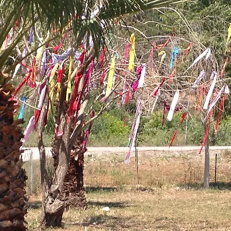 Bed & Breakfast Otantik Tas Ev