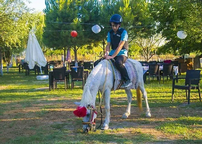 Otantik Tas Ev Oda ve Kahvaltı Dalaman