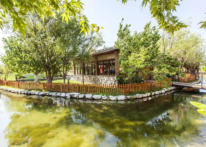 Oda ve Kahvaltı Otantik Tas Ev Dalaman