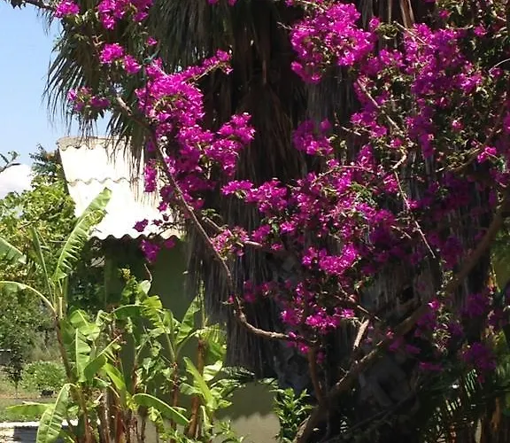 Bed & Breakfast Otantik Tas Ev 3*