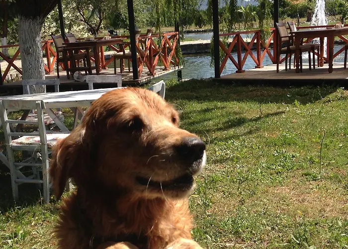 Otantik Tas Ev Oda ve Kahvaltı 3*