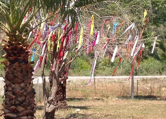 Oda ve Kahvaltı Otantik Tas Ev