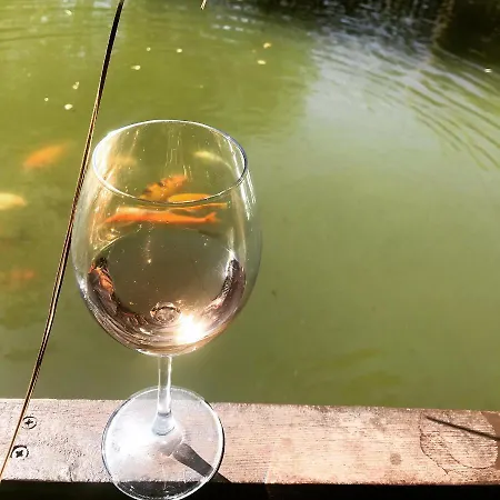 أوتانتيك تاس إيف