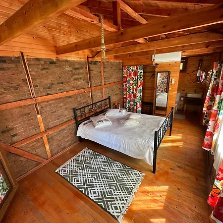 أوتانتيك تاس إيف