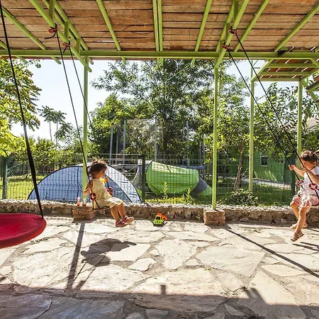 أوتانتيك تاس إيف دالامان