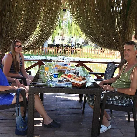 أوتانتيك تاس إيف دالامان