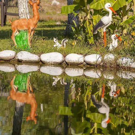 فندق مبيت وإفطار أوتانتيك تاس إيف 3*