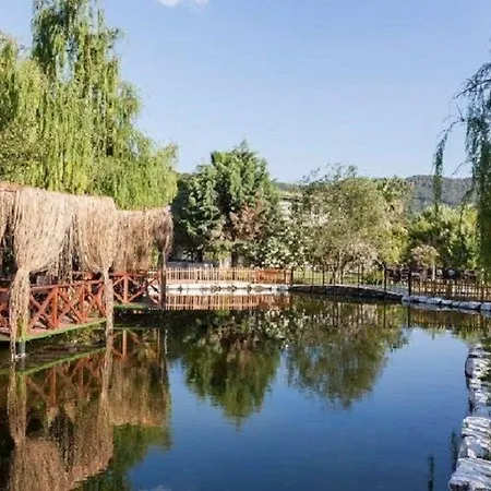 أوتانتيك تاس إيف 3*