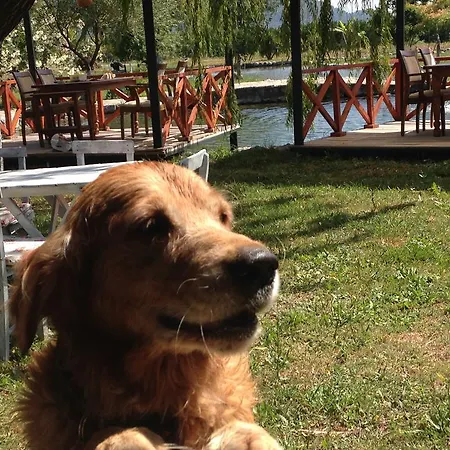 أوتانتيك تاس إيف فندق مبيت وإفطار 3*