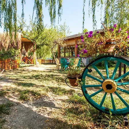 أوتانتيك تاس إيف