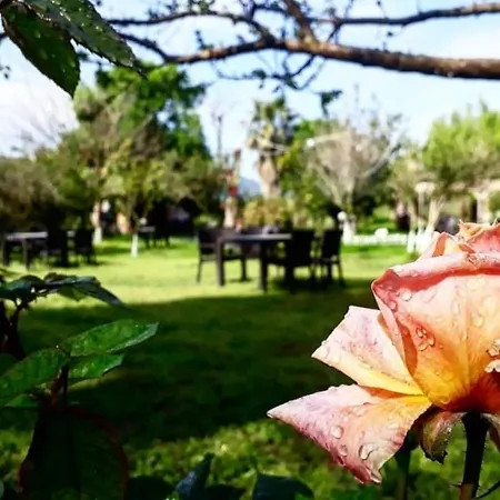 Couette-café Otantik Tas Ev 3*