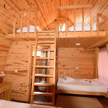 أوتانتيك تاس إيف