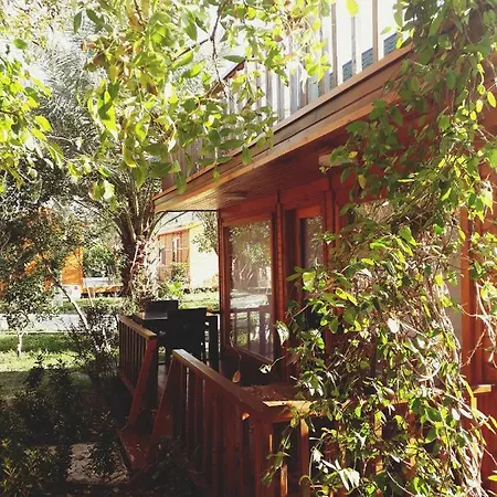 Oda ve Kahvaltı Otantik Tas Ev
