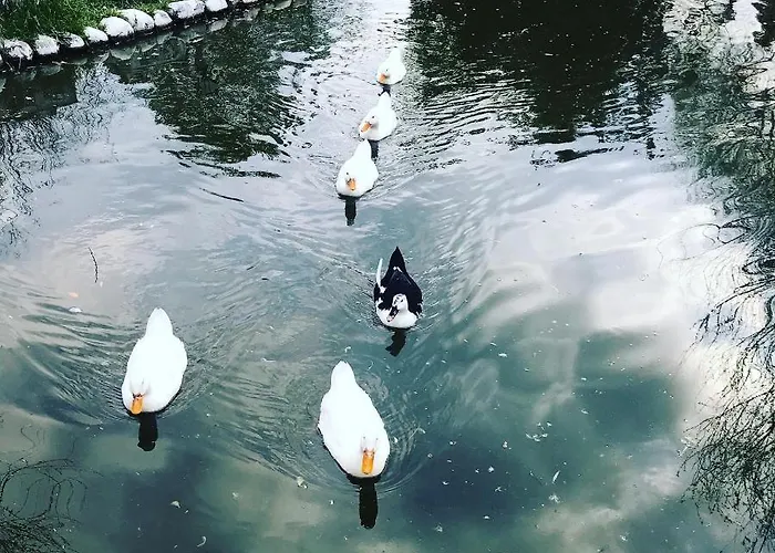 Frühstückspension Otantik Tas Ev 3*