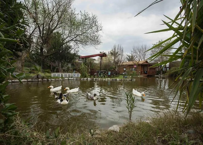 Otantik Tas Ev Bed & Breakfast Dalaman