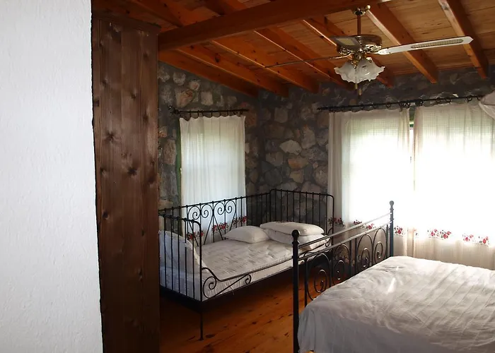 Otantik Tas Ev 3* Dalaman