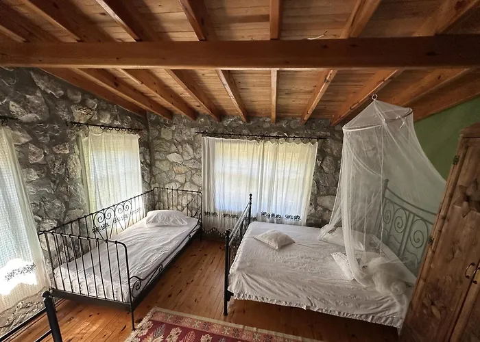 Otantik Tas Ev 3* Dalaman