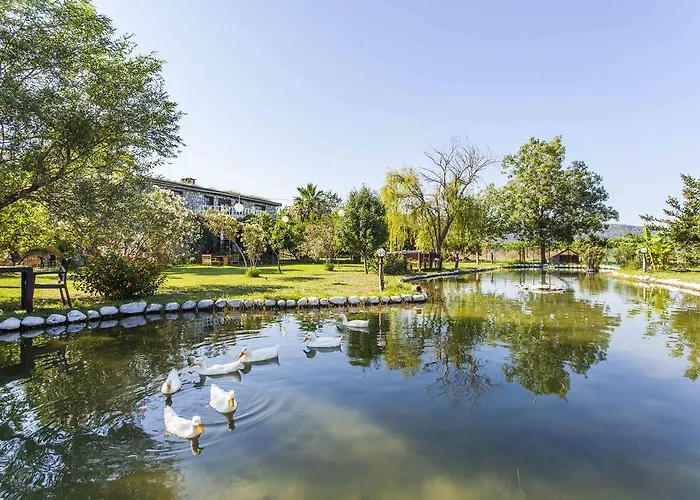 Otantik Tas Ev Oda ve Kahvaltı