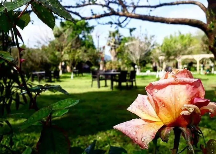 Bed & Breakfast Otantik Tas Ev 3*