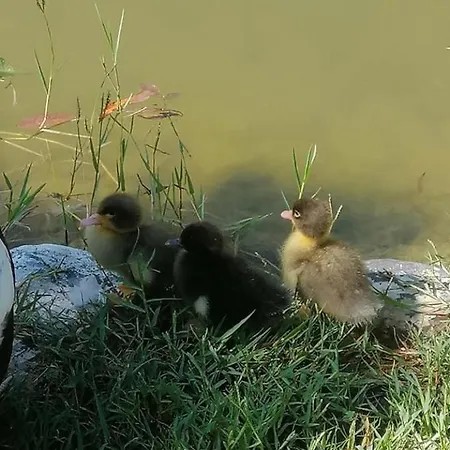 Otantik Tas Ev ベッド・アンド・ブレックファスト