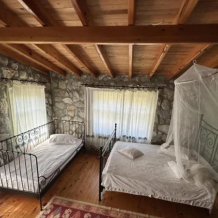 Otantik Tas Ev 3* ダラマン