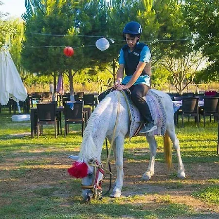 Otantik Tas Ev ベッド・アンド・ブレックファスト ダラマン