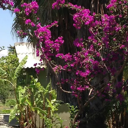 ベッド・アンド・ブレックファスト Otantik Tas Ev 3*